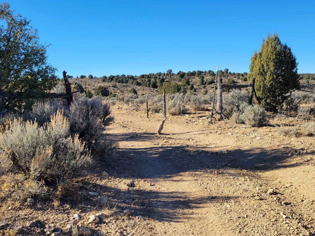 BLM 1648 photo 6