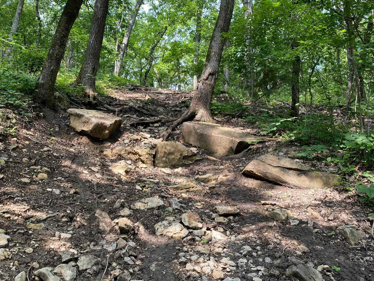 Max and Patty's Spot photo 2