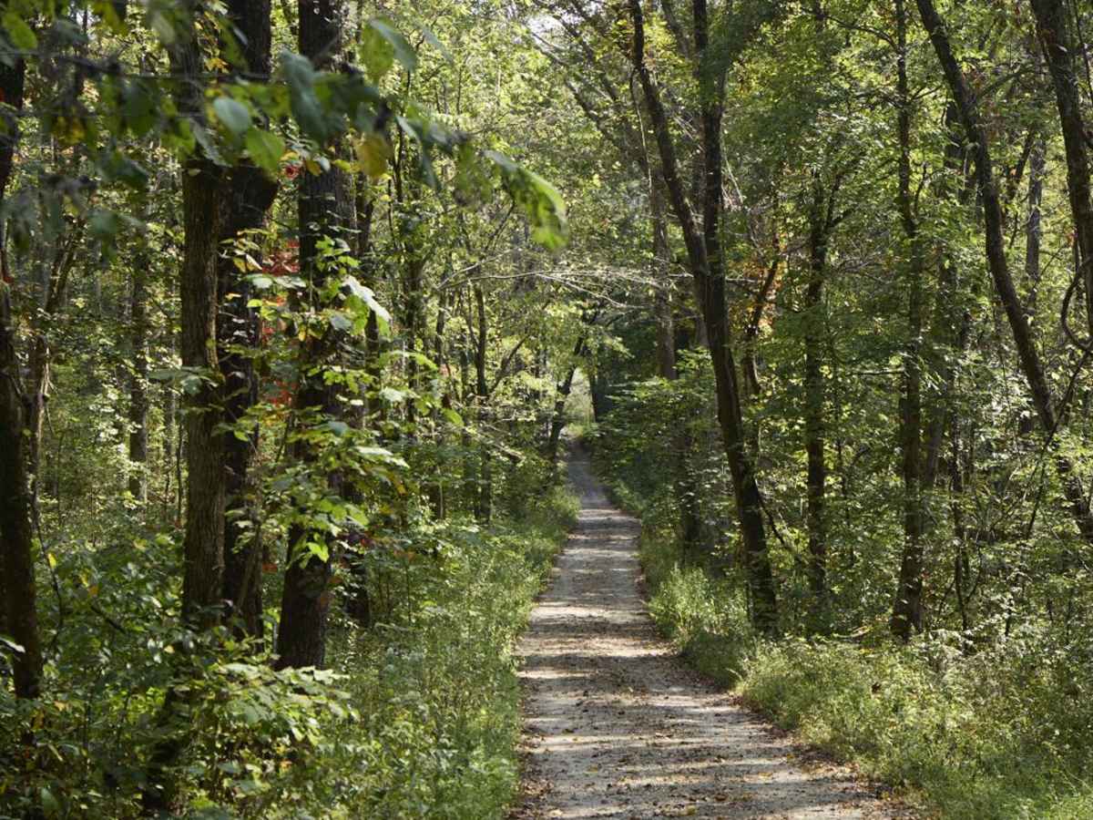 Ugly Creek - Mammoth Cave NP trail photo