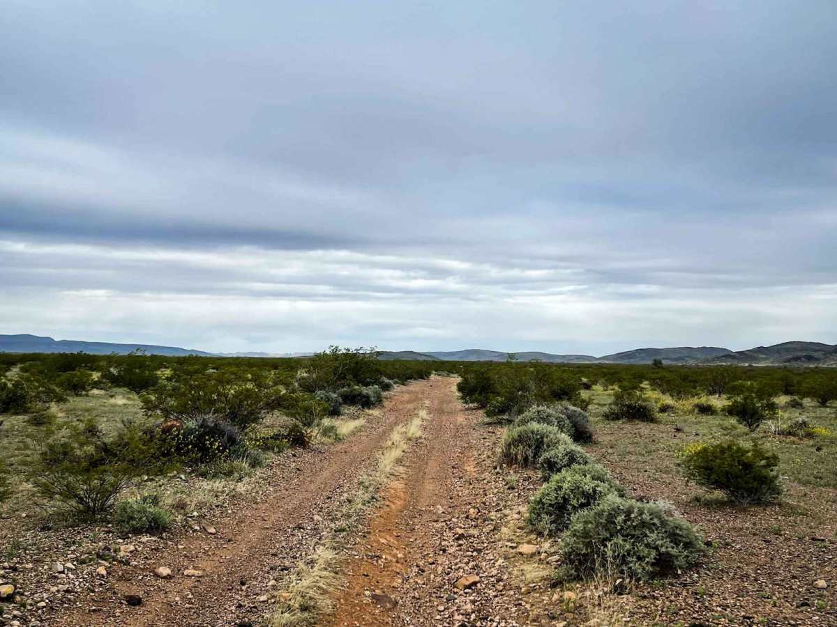 8106 Trail photo 2