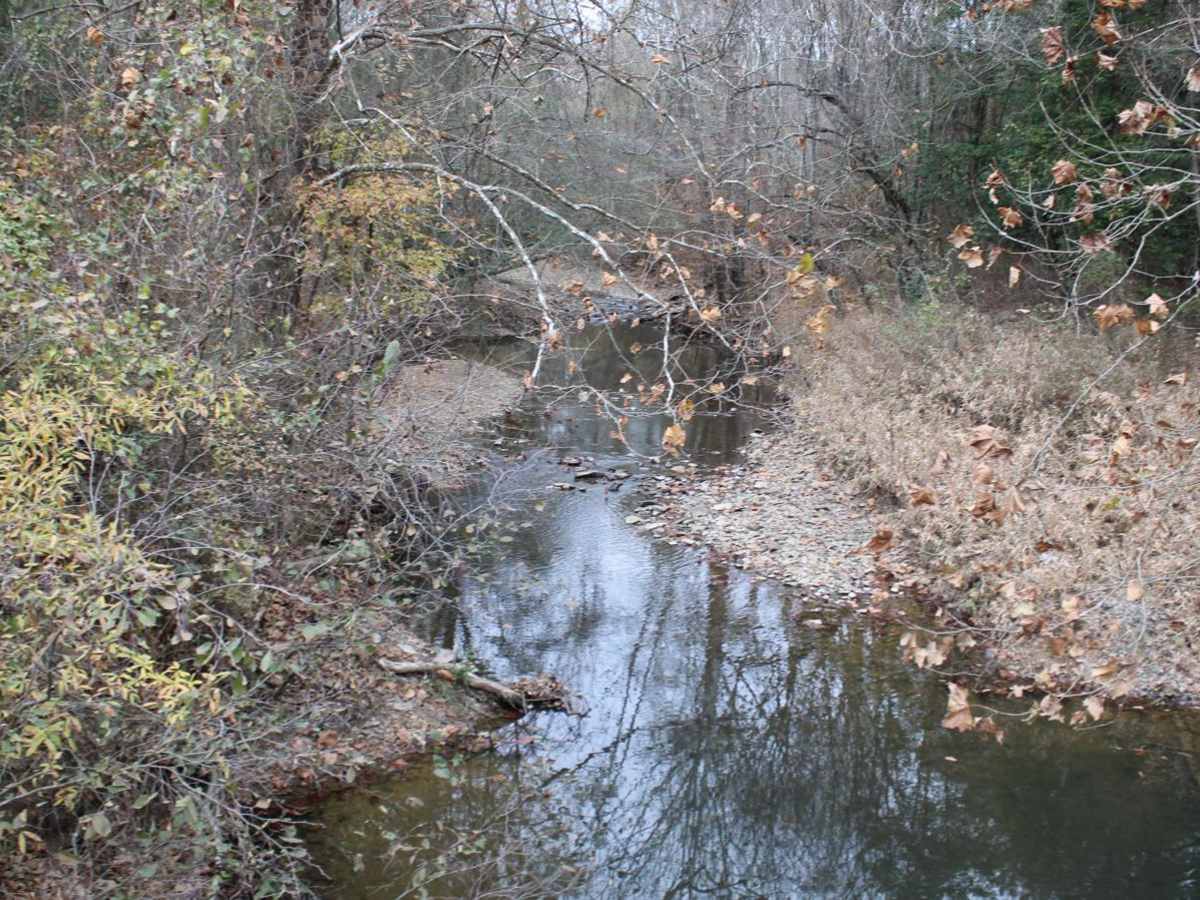 County Road 55 photo 4