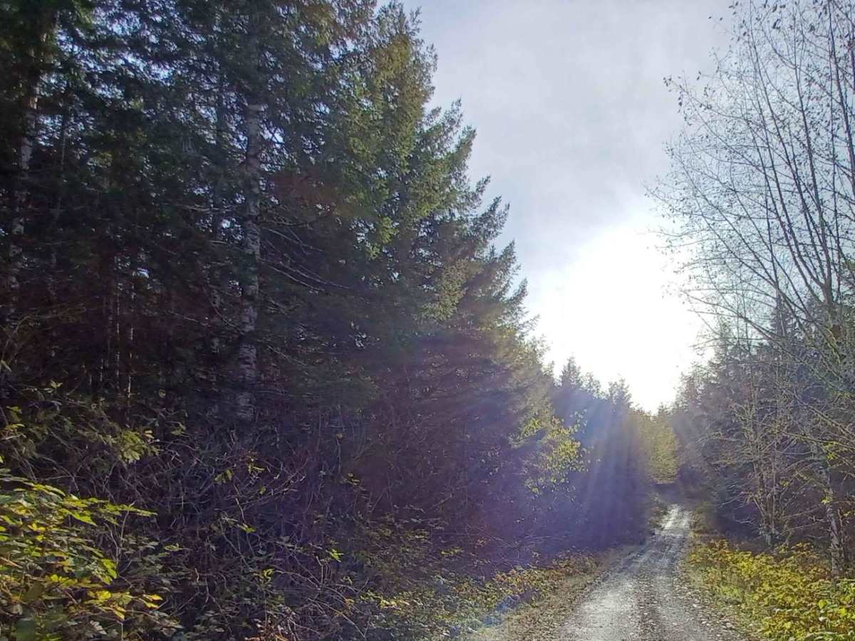 Foland Creek photo 6