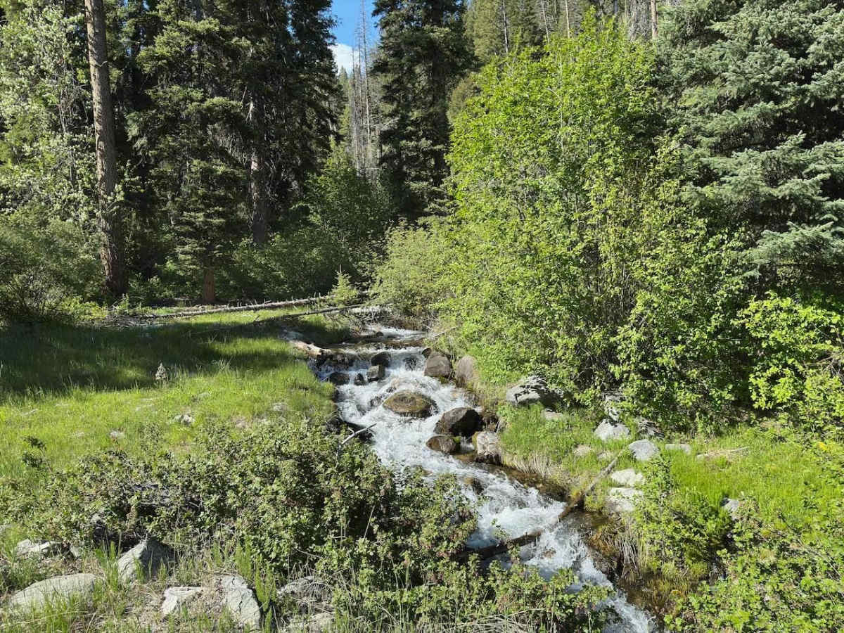 Gird Creek trail photo