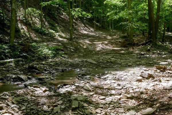 Trail 23 Sawmill Run