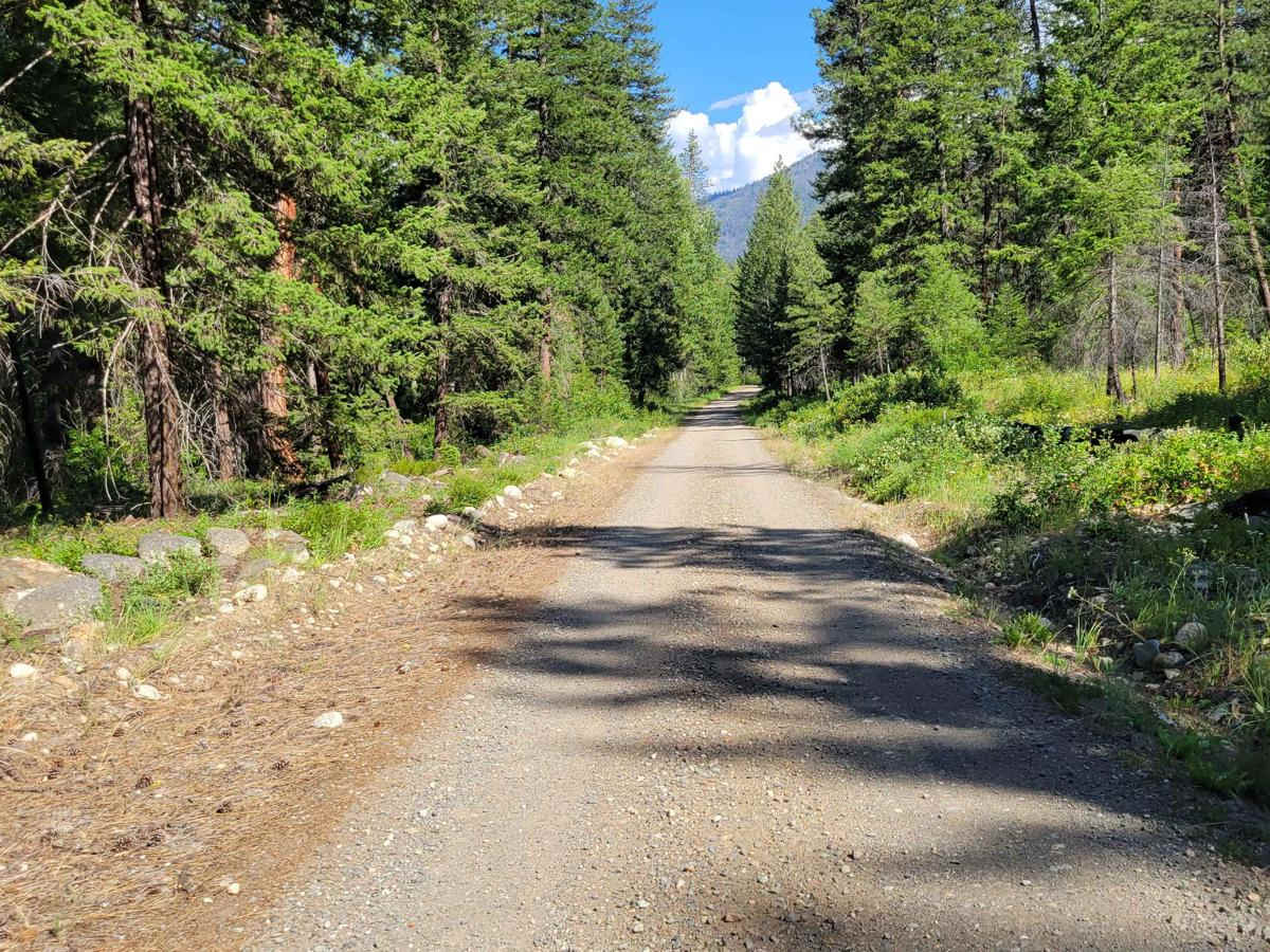 FR 4420 - West Buttermilk Creek Road photo 2