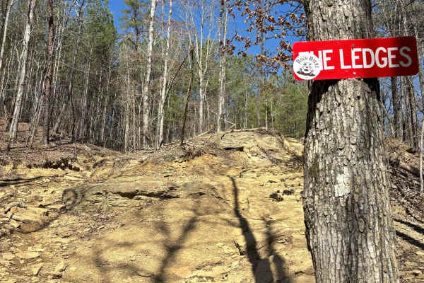 The Ledges