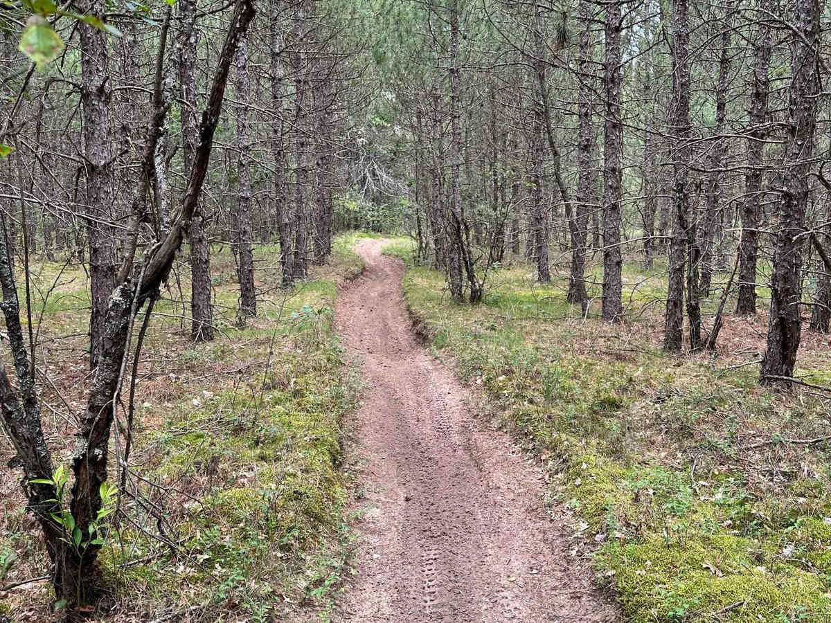 Little Manistee/Lincoln Hills Connector - Motorcycle Trail photo 4
