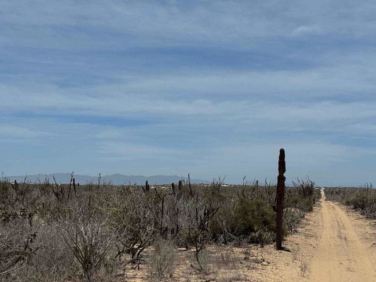 Guatamota Dunes photo 3