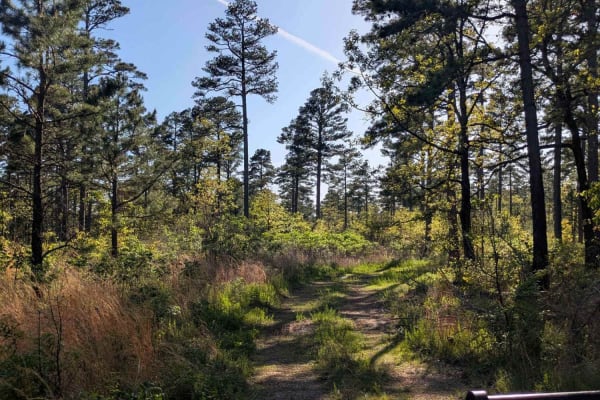 Henry Mountain Road
