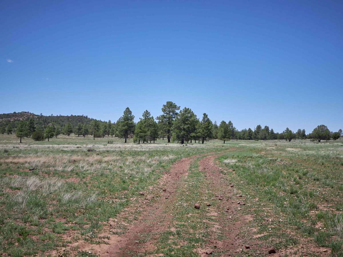 FR 799 photo 2