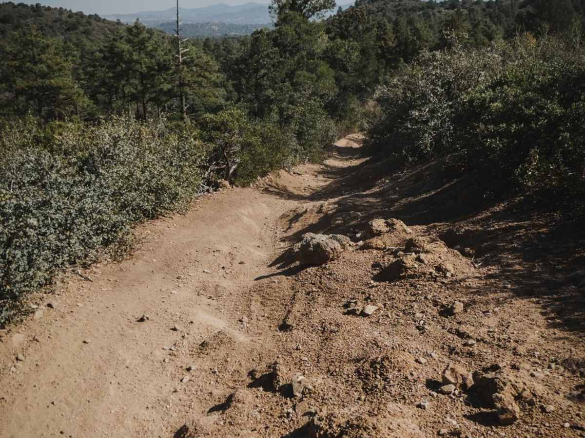 Trail 1 photo 2