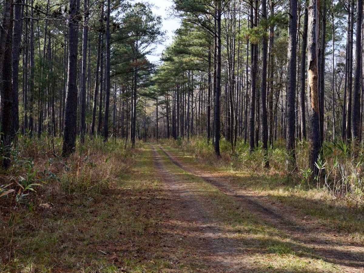 GW Roberts Road - Donnelly PT. 7 photo 4
