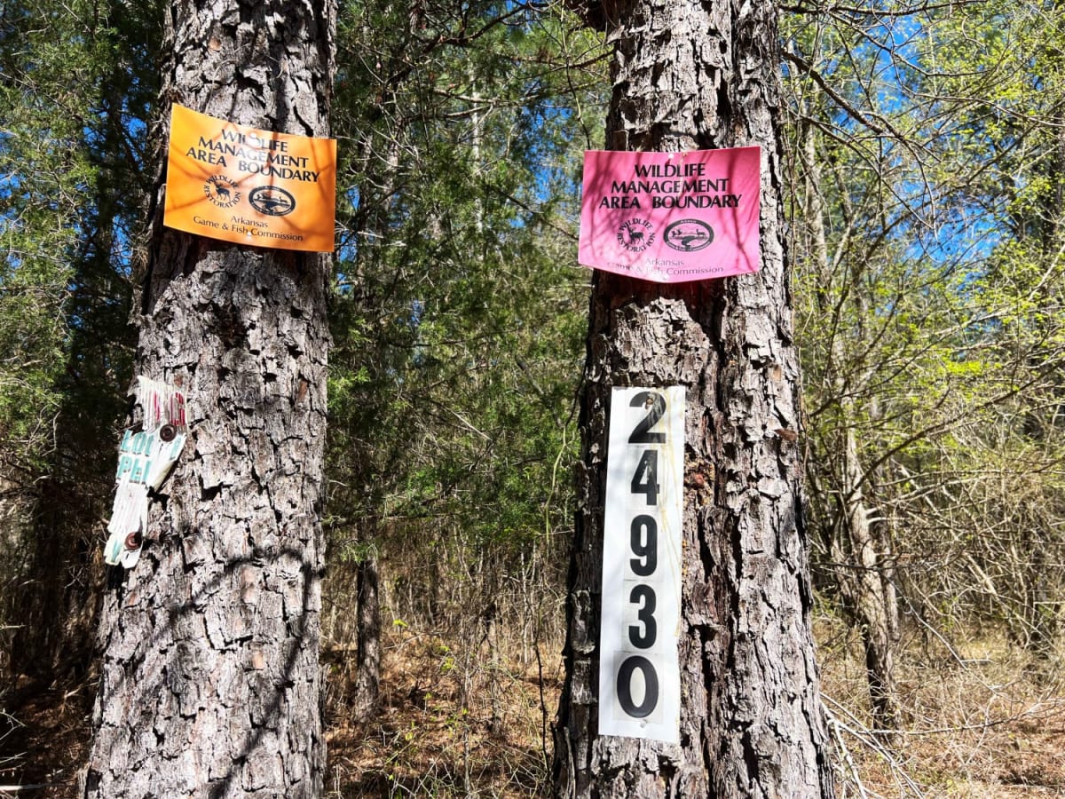 Rock Creek to Pine Ridge photo 6