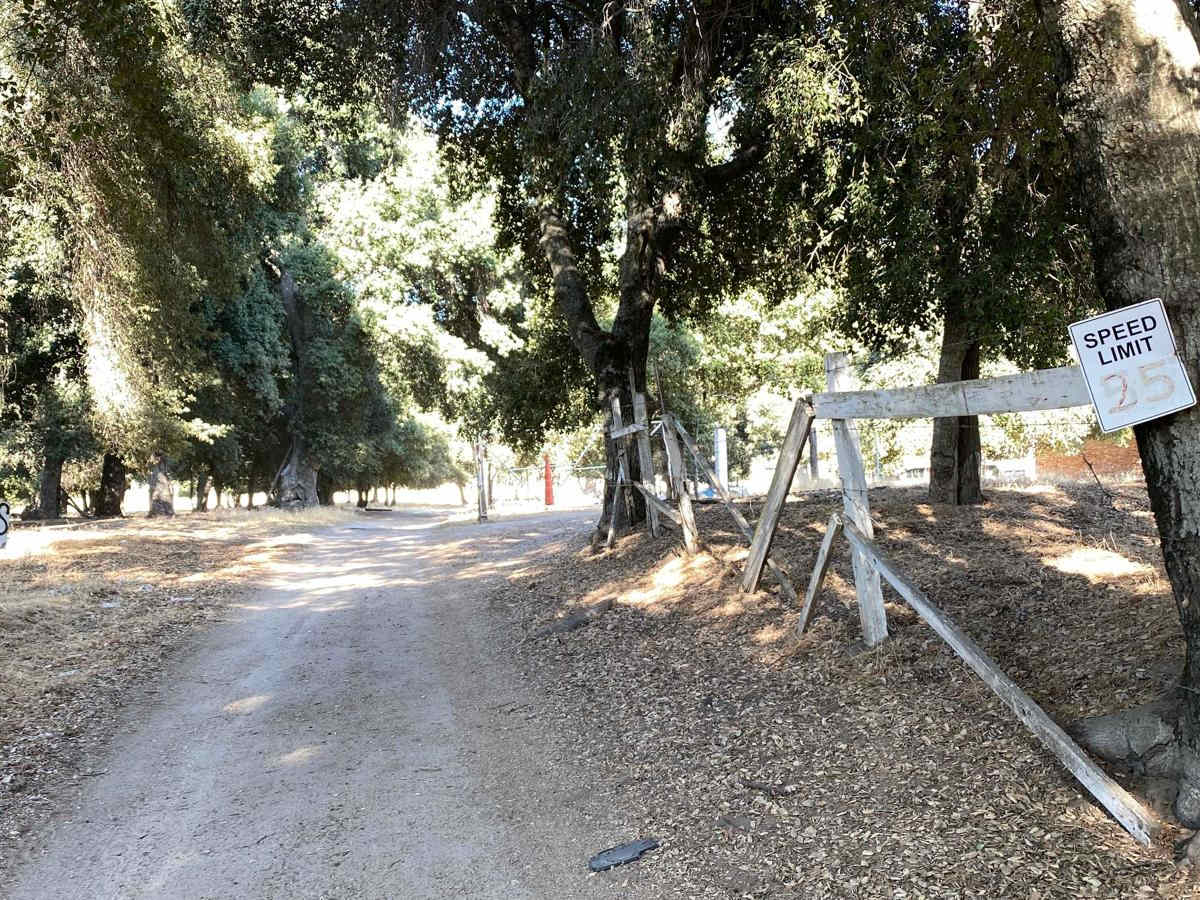 El Compadre to Control Tower trail photo