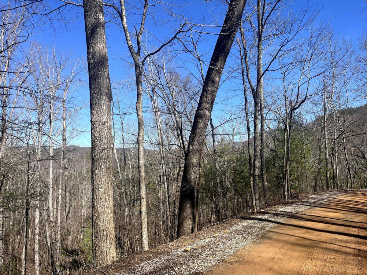 Citico Creek South photo 5