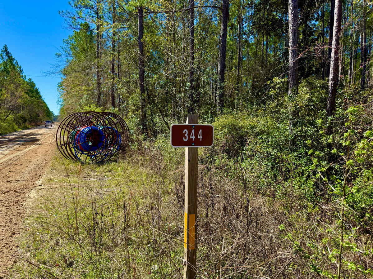 Otter Camp Road - FS 344 trail photo