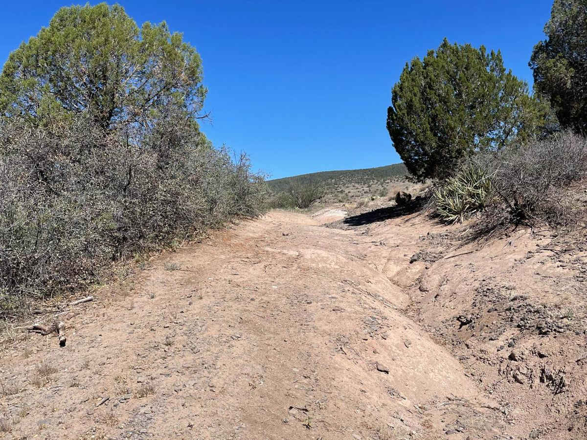 Juniper Hill Loop photo 3