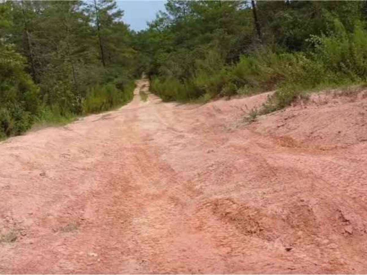 Tread Lightly! Four Wheel Drive Way photo 2