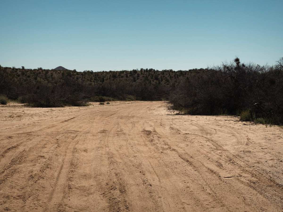Lower Martinez Creek trail photo