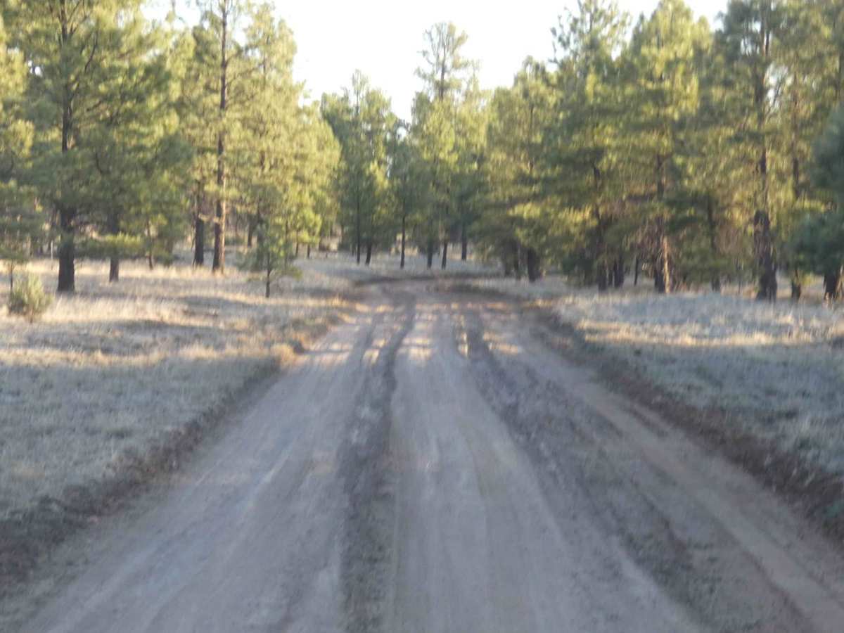 Adobe Ranch Road photo 5