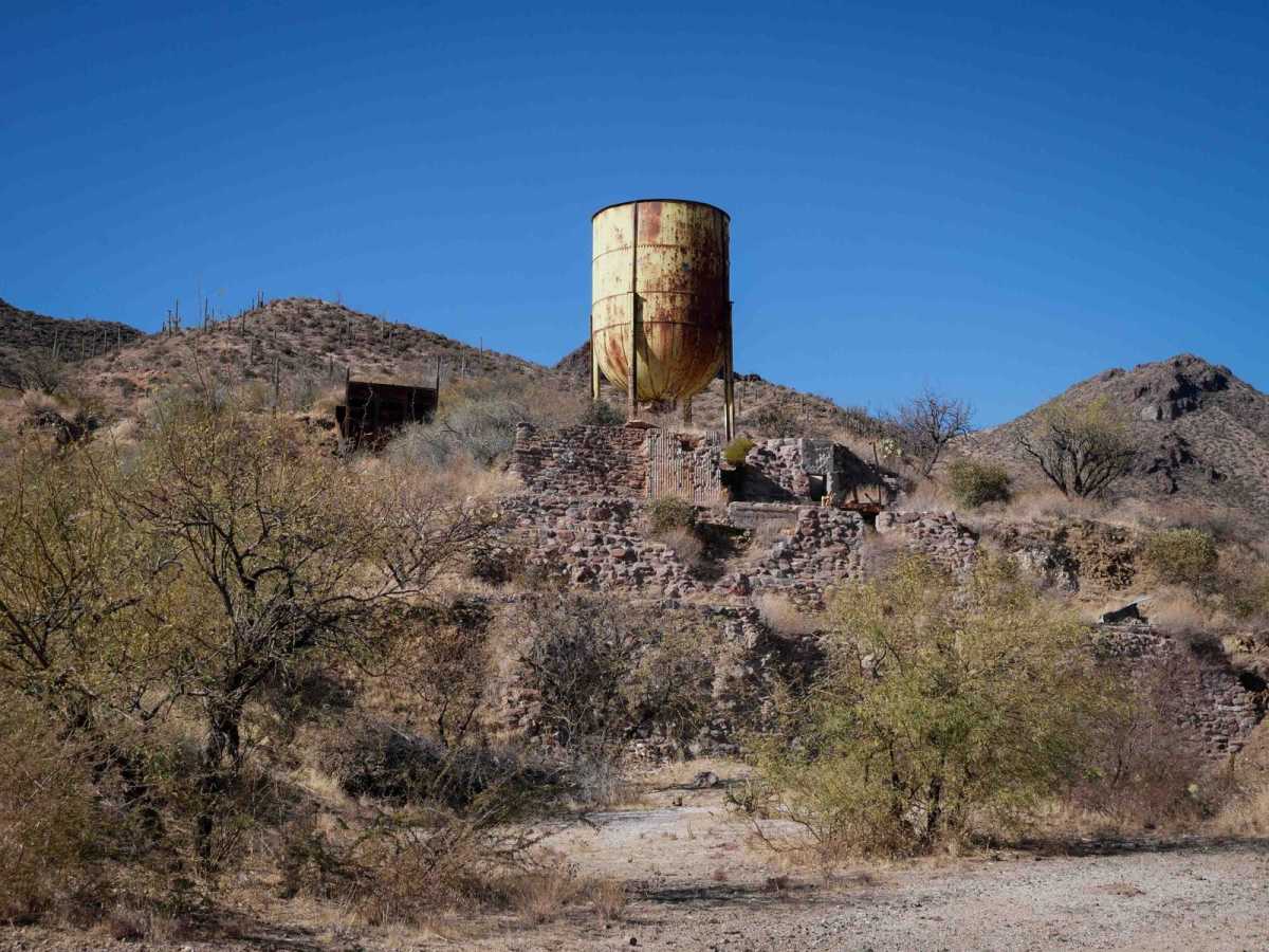 Big Reef Mill Singletrack trail photo