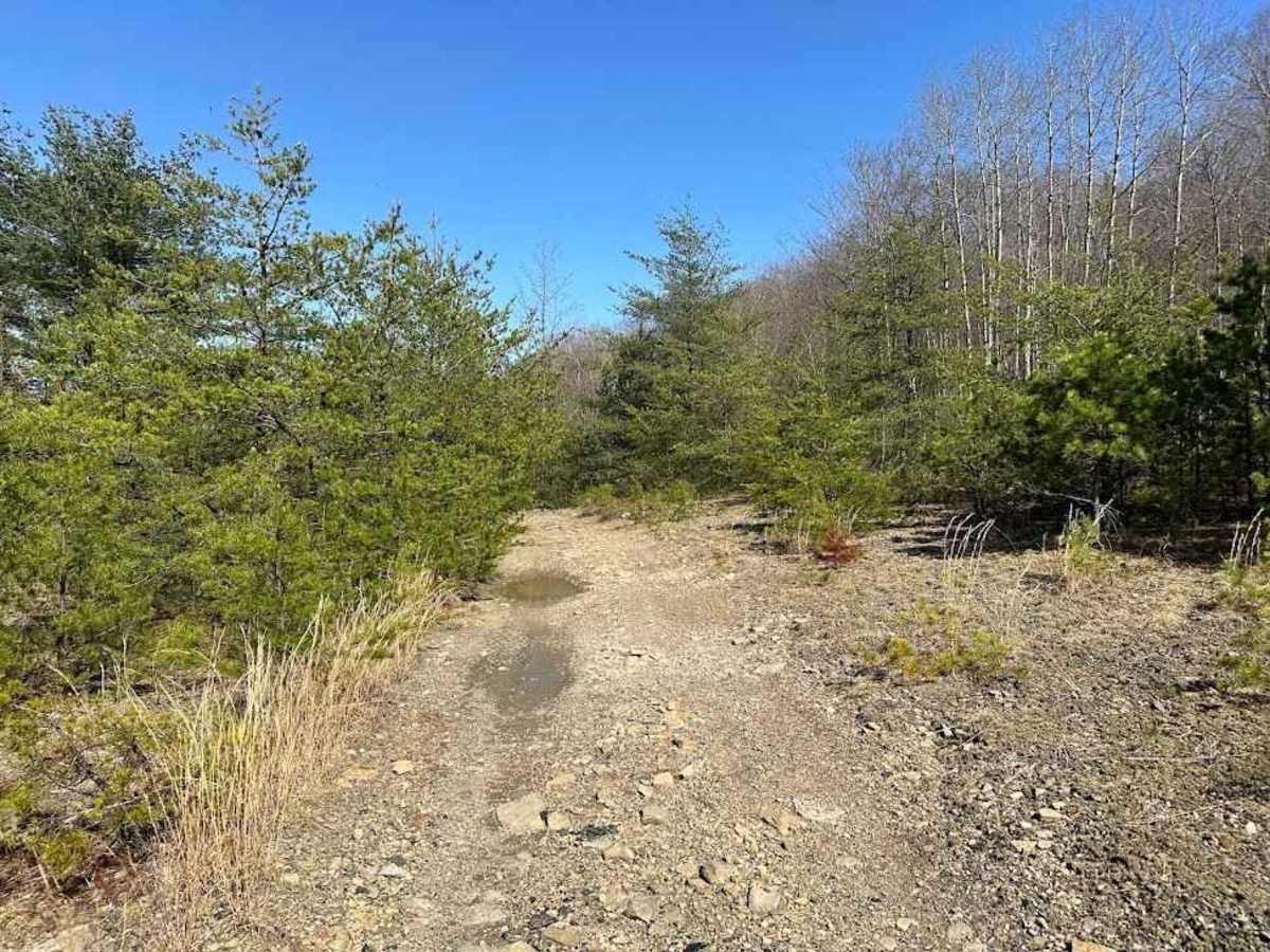St. Keirns 87 trail photo