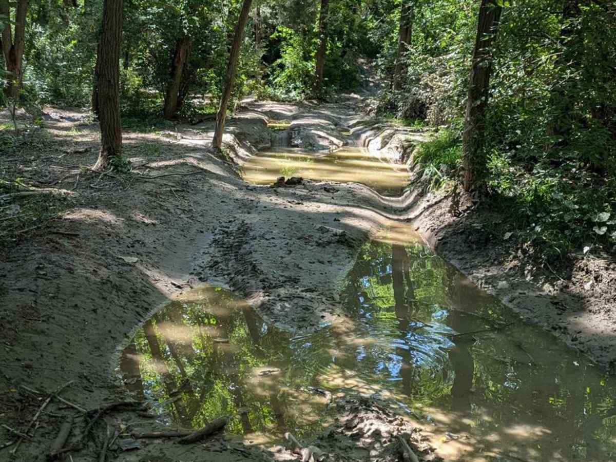 Whispering Woods photo 5