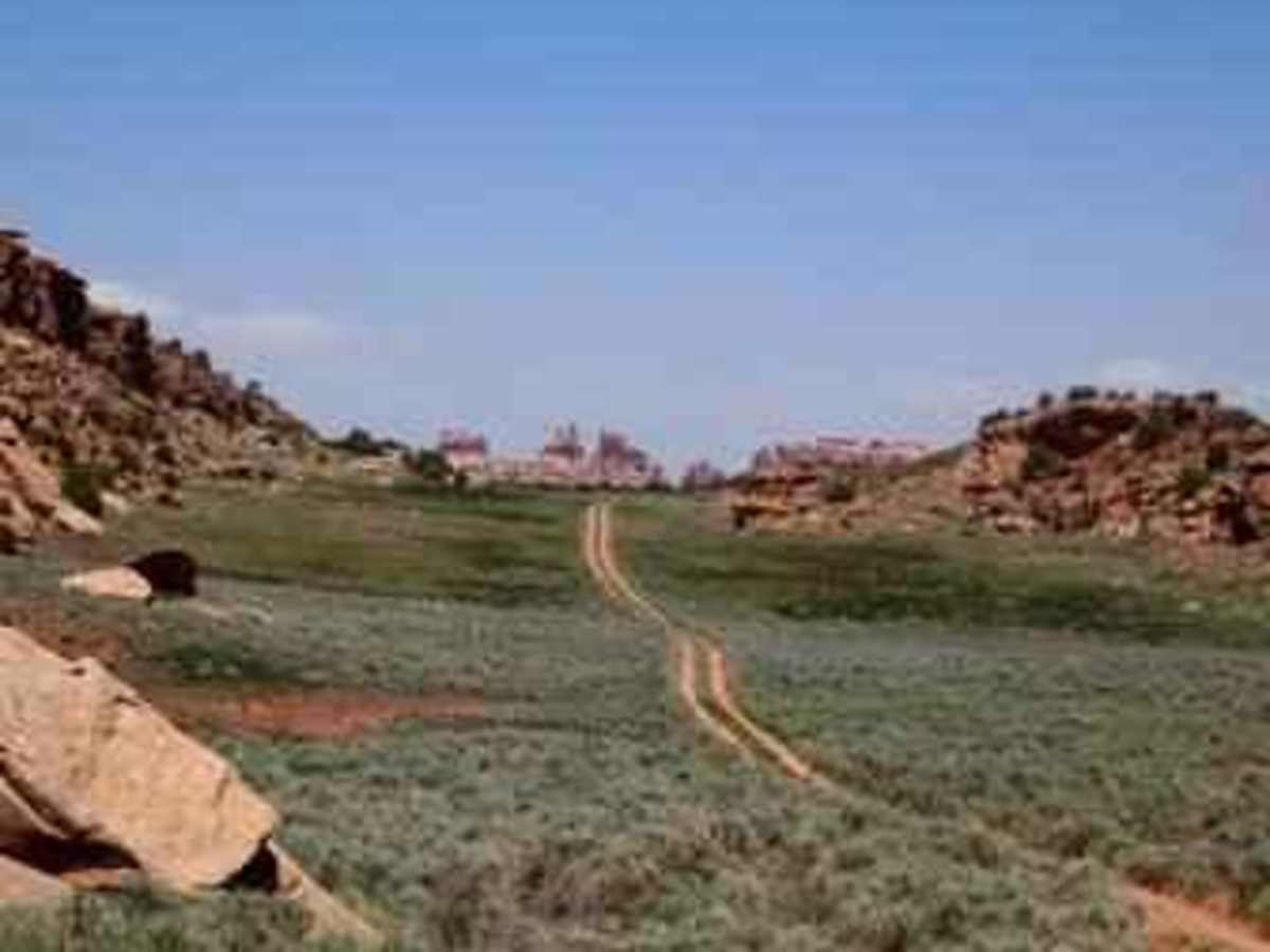 Beef Basin Road photo 2