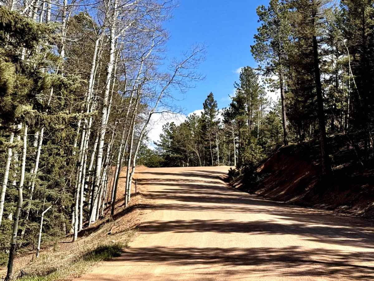 Wildhorn Road photo 4