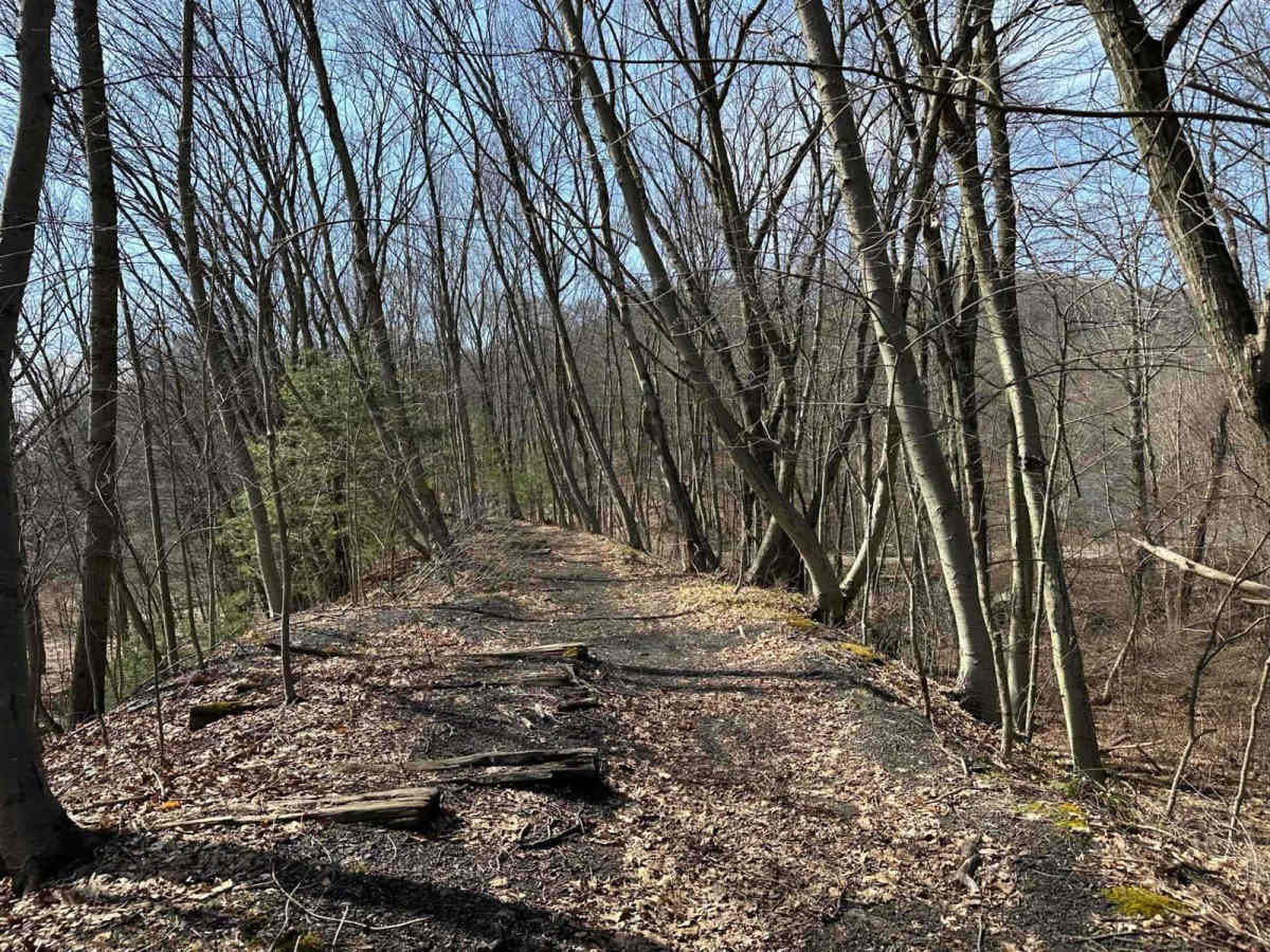 Ashland 114 photo 3