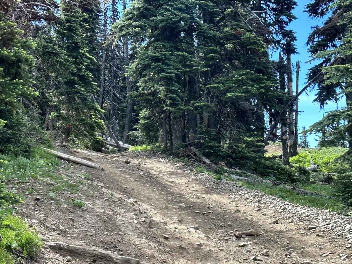 Milk Creek 4WD Trail photo 6