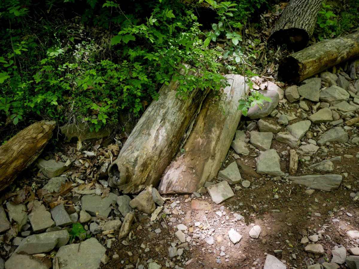 Trail 18 photo 2