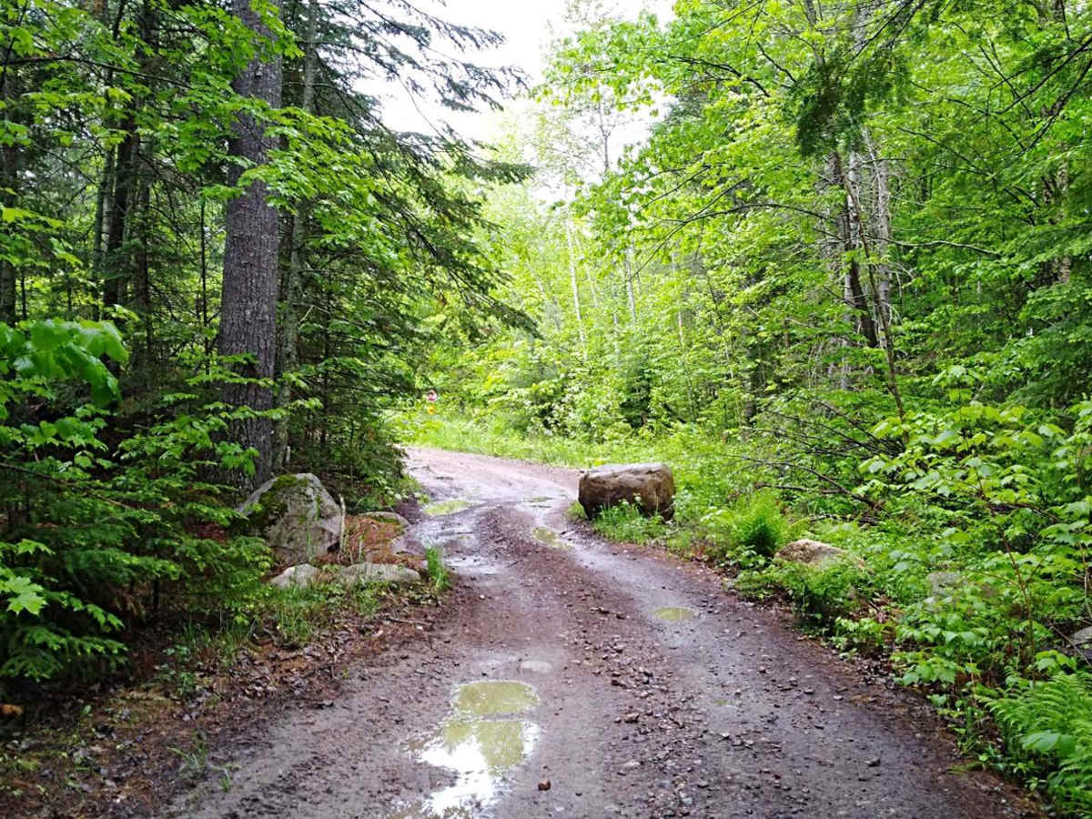 UPM Blandin Trail South photo 5
