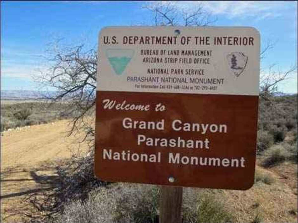 Little Oak Spring Road BLM 1029 trail photo