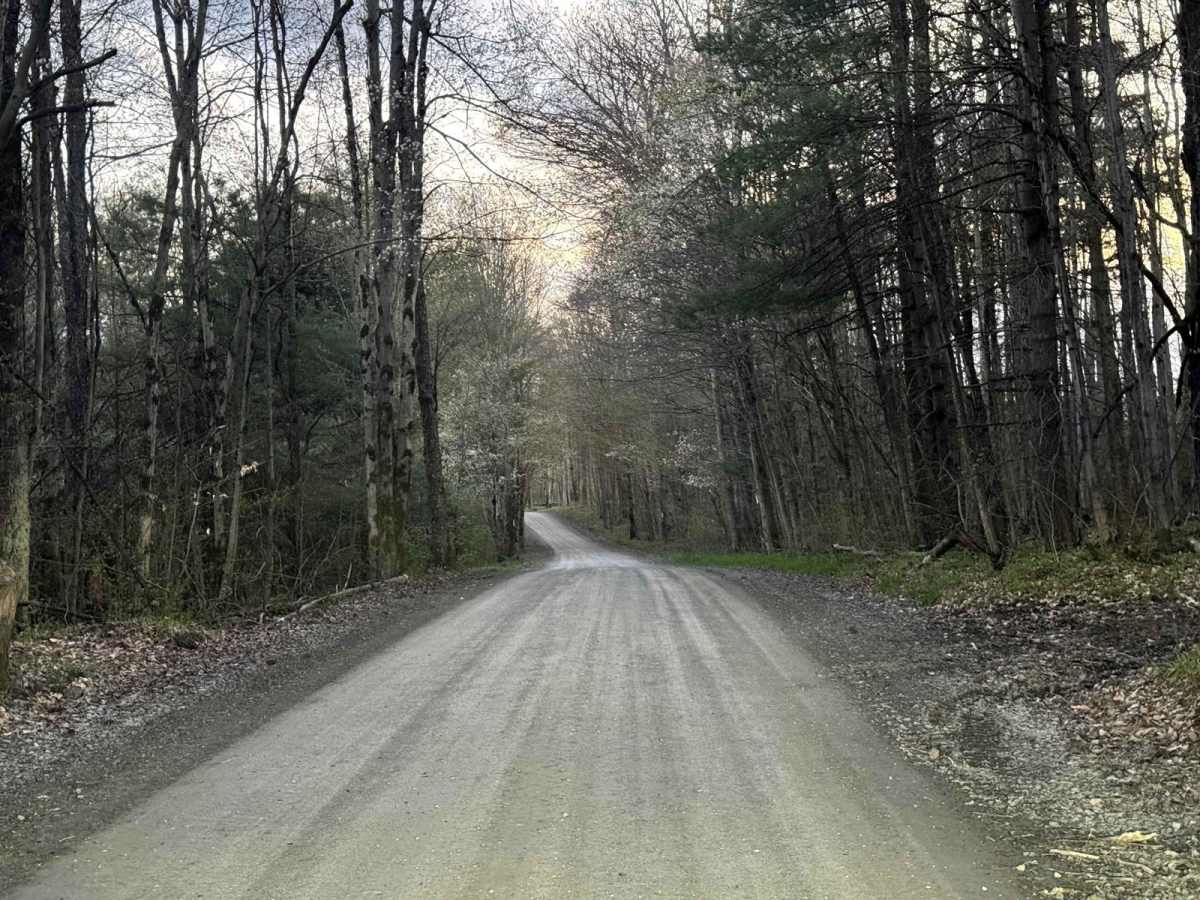 Mill Road photo 2