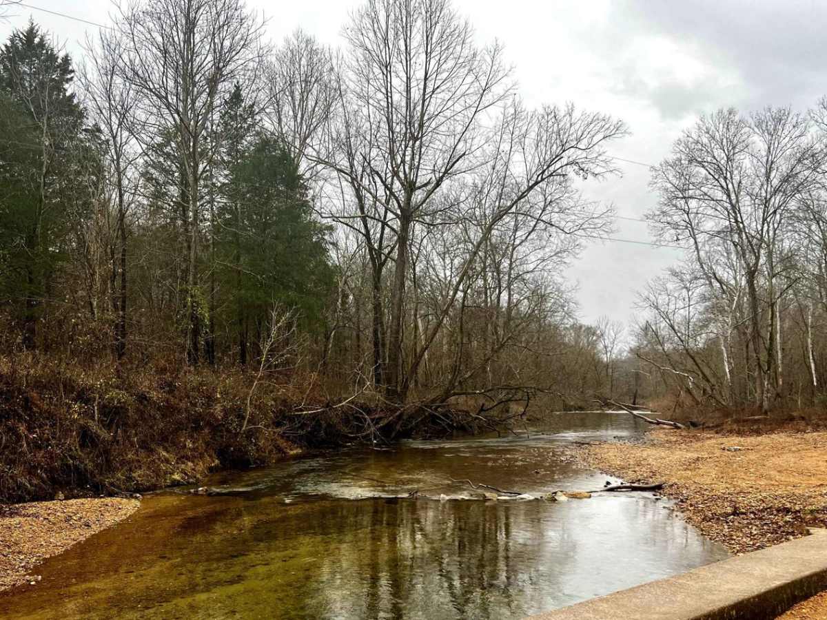 Old Mill Creek Road photo 5