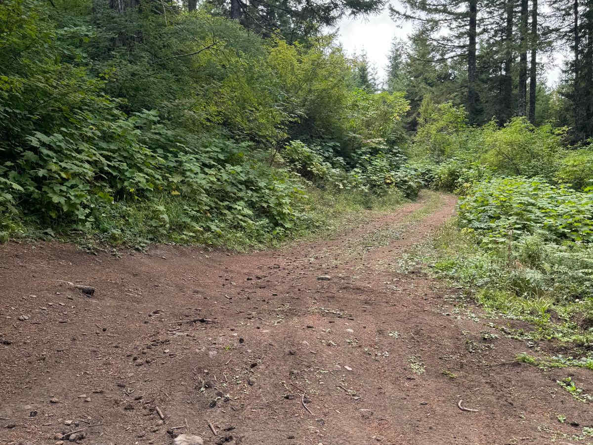 CG 2030 / CG 2037 / CG 2200 trail photo