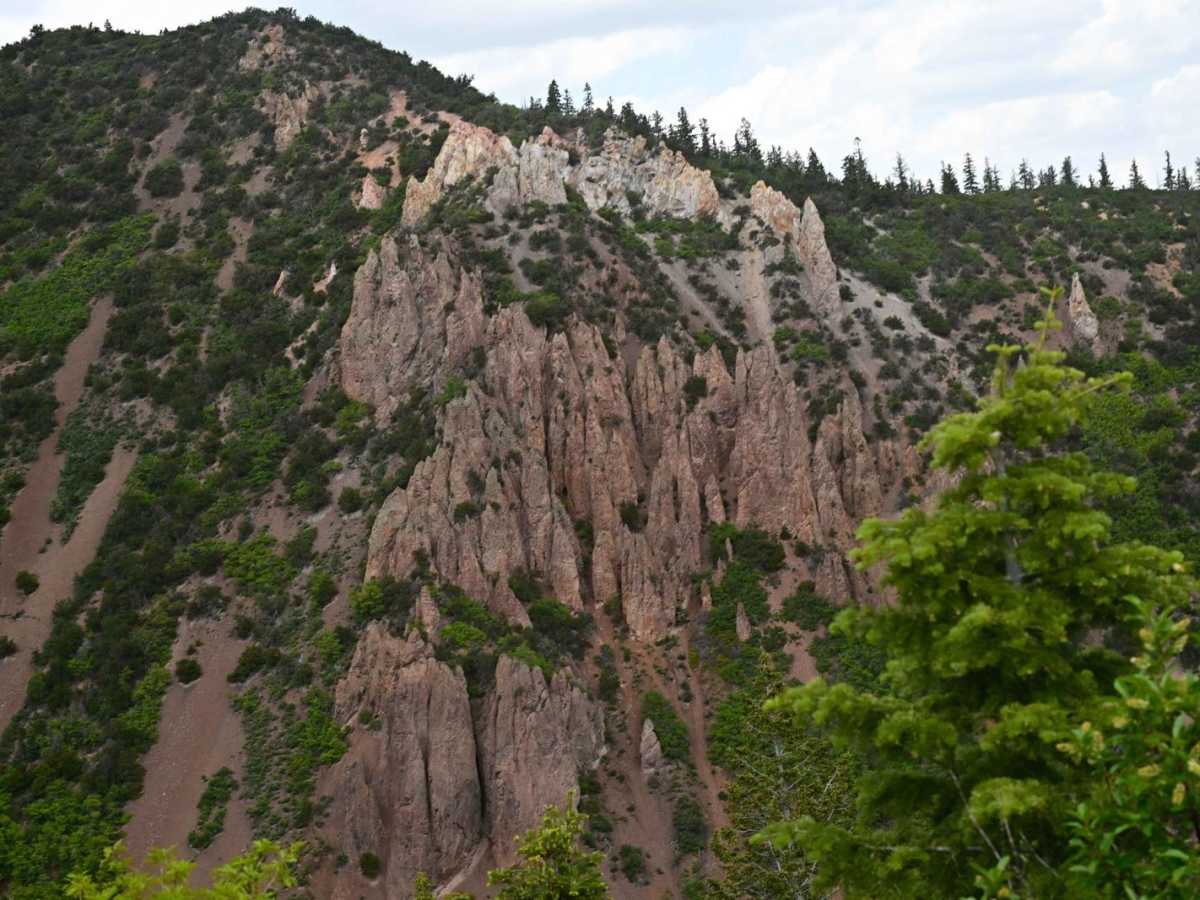 FR40113/PST 13 trail photo