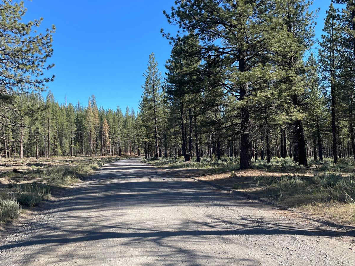 Butte Lake trail photo