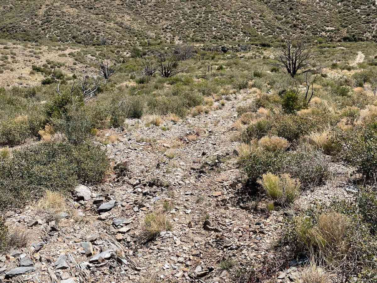 Washed Out Hill photo 6