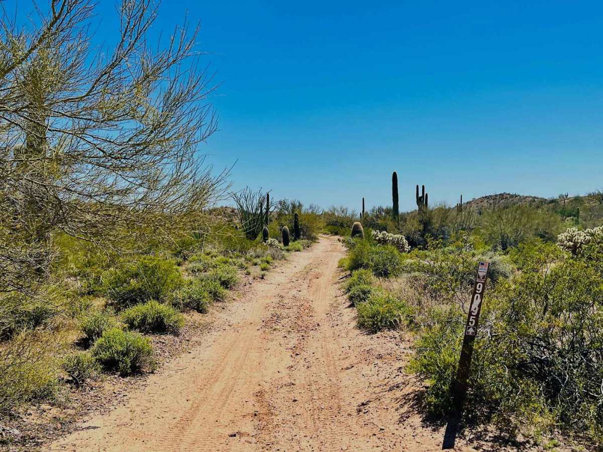 BLM 9095 trail photo