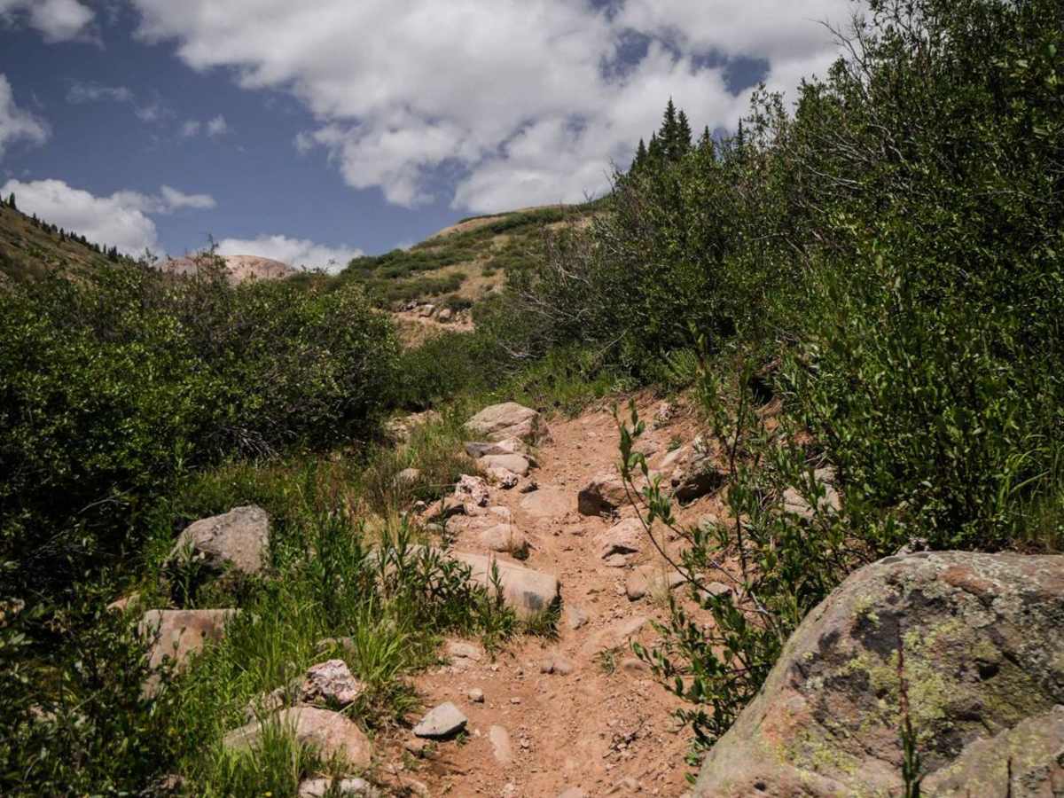 Pole Creek photo 5