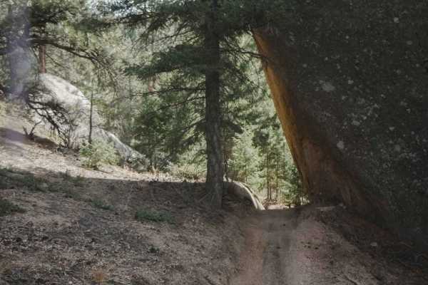 770 Turtle Mountain Trail (Part 1)