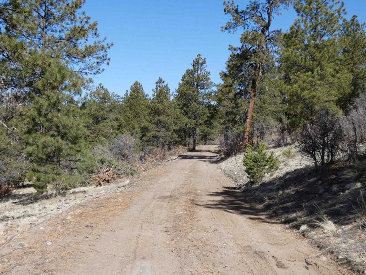 Tusas Ridge photo 5