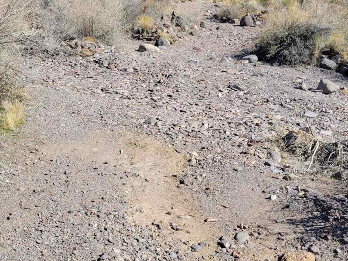 Black Range Mine photo 2