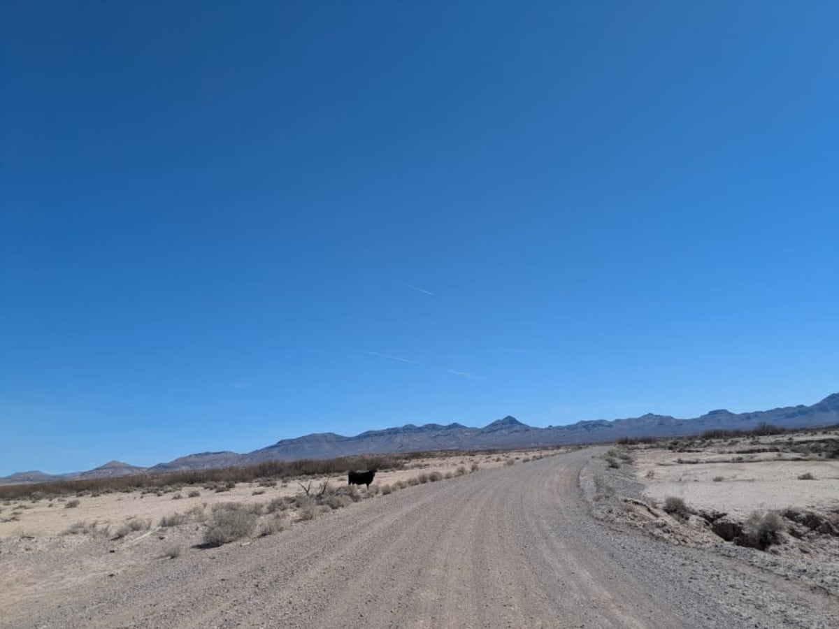 Tanque Road photo 3