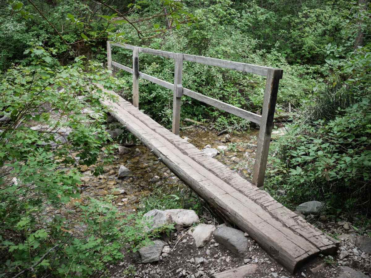 Middle Cottonwood trail photo