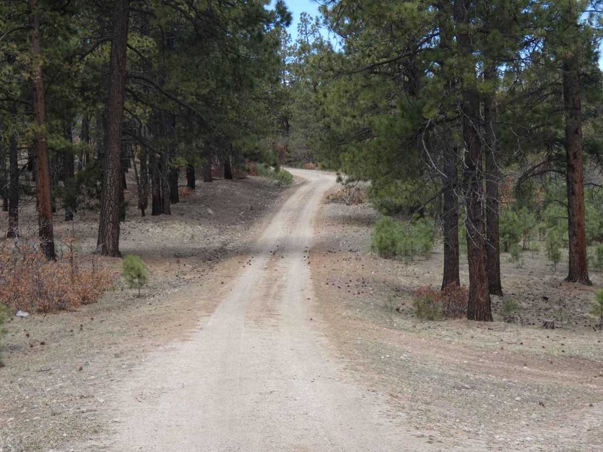 Kiowa Mountain photo 5
