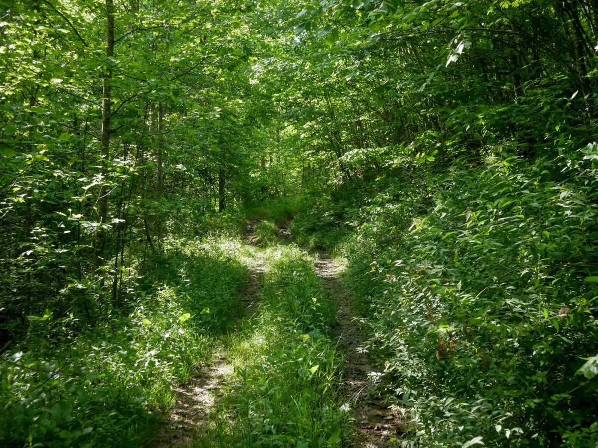 RV27 photo 2