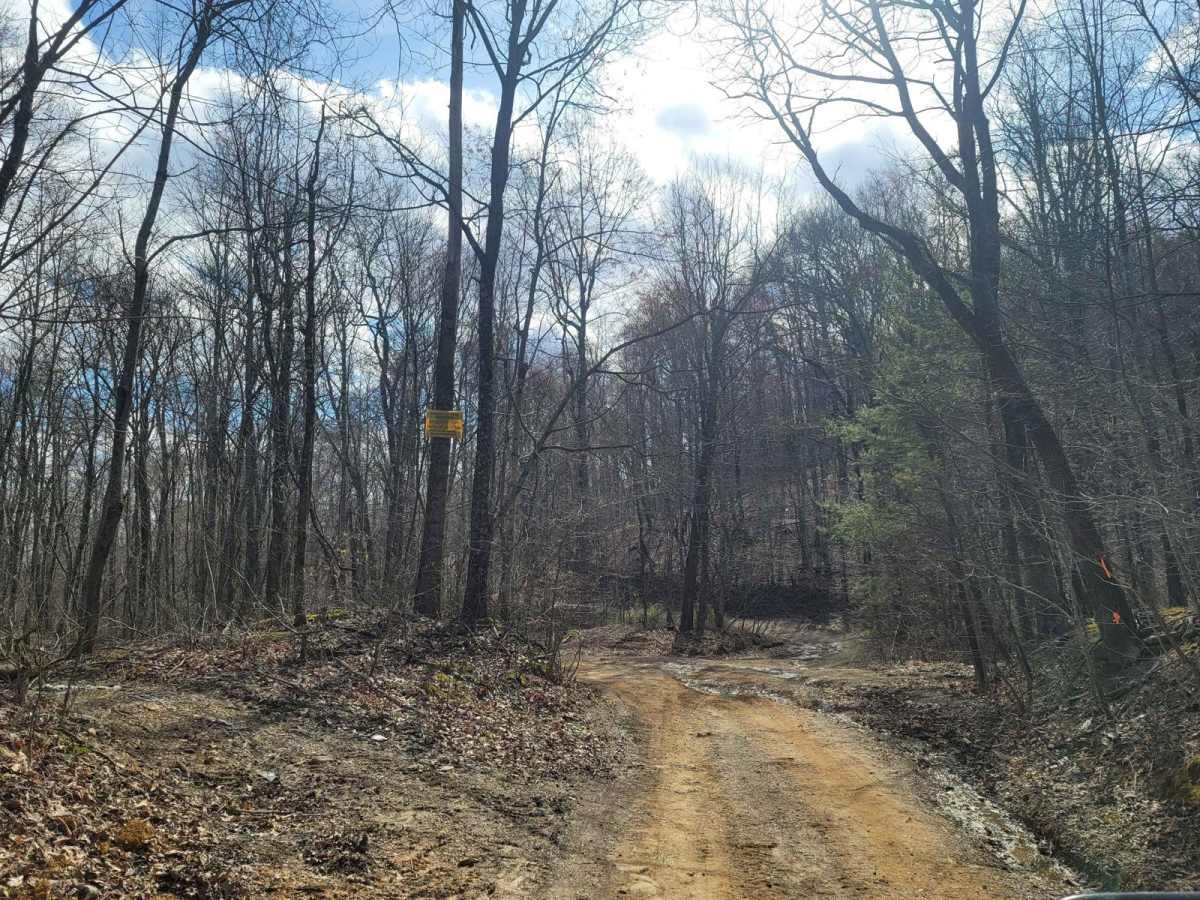 G58 - Cambria Hollow photo 6